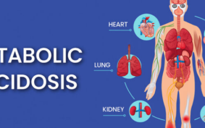 Acidosi metabolica: cause, sintomi e diagnosi medica