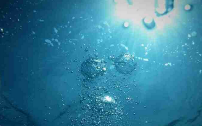 Le scoperte dei Premi Nobel: quando la scienza ha visto ciò che prima poteva solo immaginare