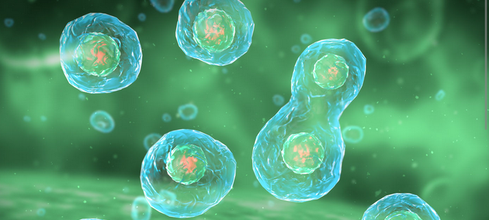 Come le cellule regolano acqua e ioni: la scoperta che ha cambiato la biologia moderna